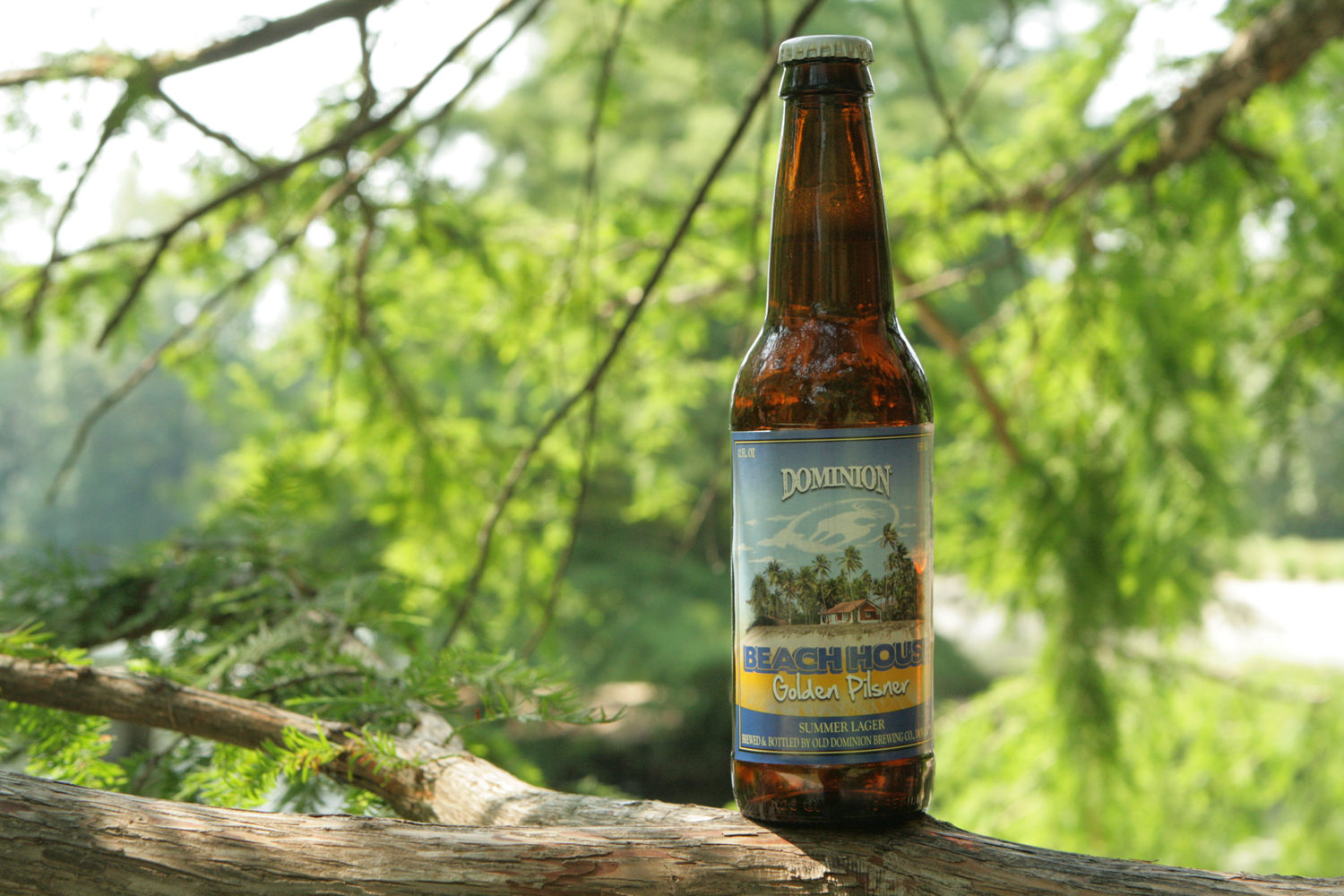 Enjoy a seasonal summer Beach House beer.