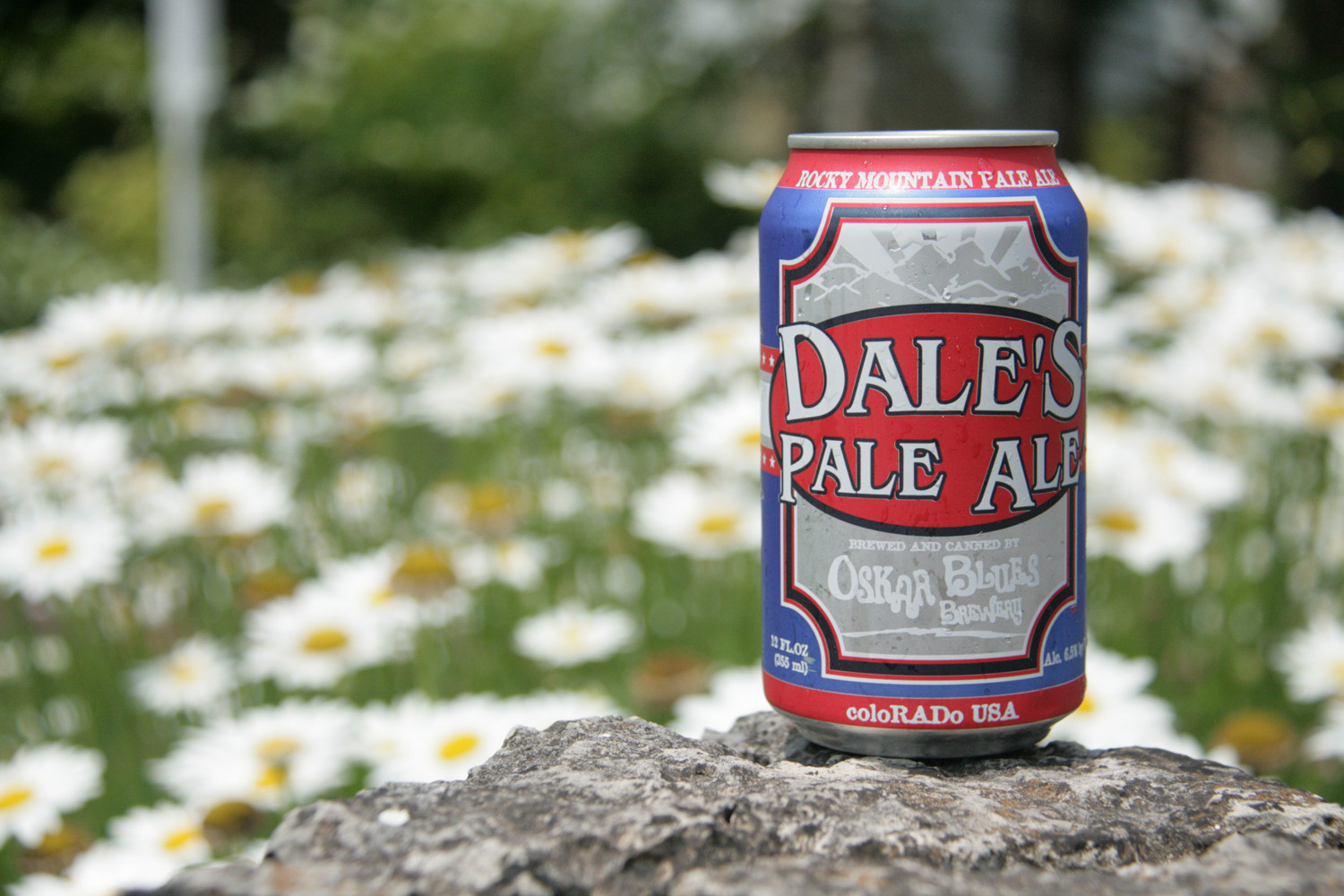Drink Dale's Pale Ale this summer for classic perfection.