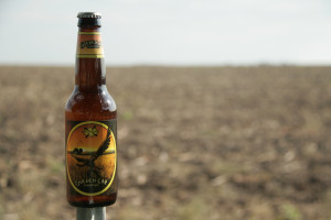 Golden Cap craft beer is perfect for summer months.