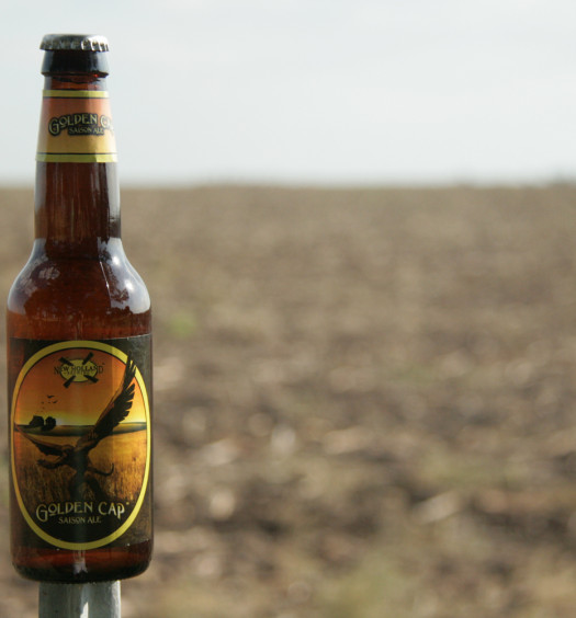 Golden Cap craft beer is perfect for summer months.
