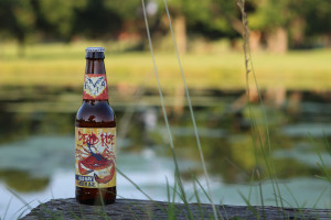 Enjoy Old Bay beer Dead Rise Summer Ale from Flying Dog Brewery.
