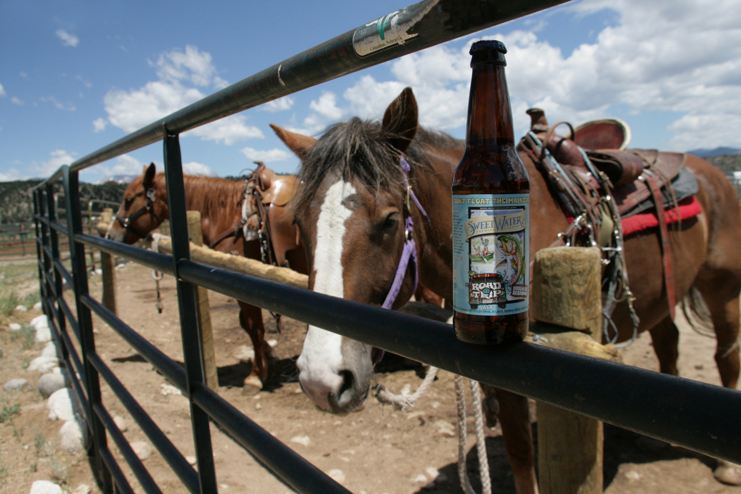 Summer Road Trip beer is a great craft seasonal ale.