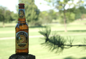 Take Shock Top summer beer belgian white to the park.