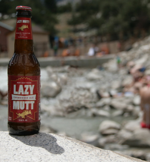 Be lazy this summer with a perfect summer farmhouse ale seasonal beer.