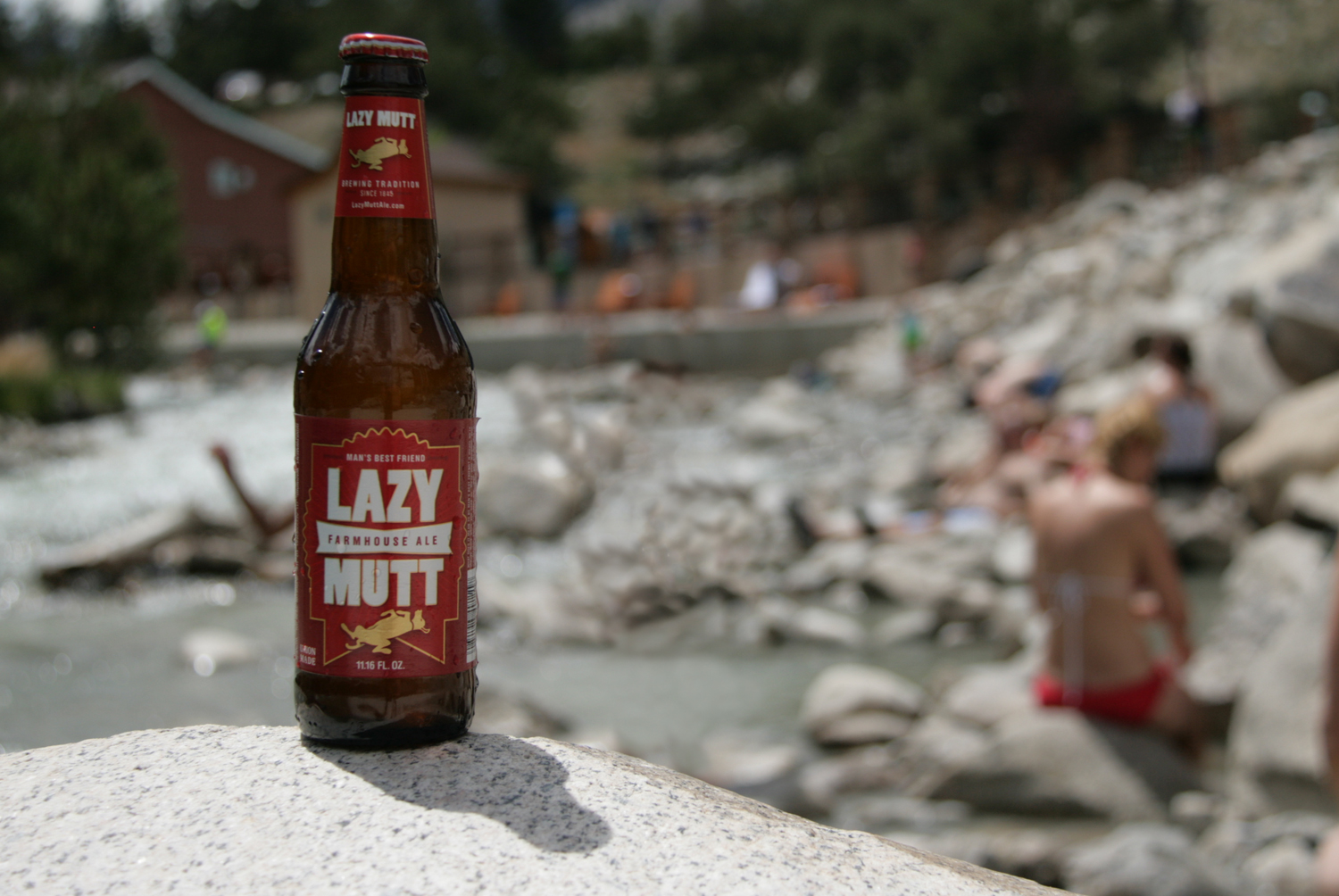 Be lazy this summer with a perfect summer farmhouse ale seasonal beer.