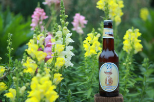 Summer beer White Hatter from New Holland.